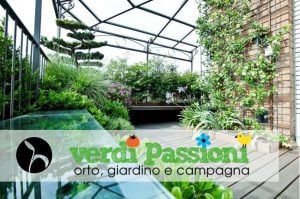 Scopri di più sull'articolo Verdi Passioni 2018