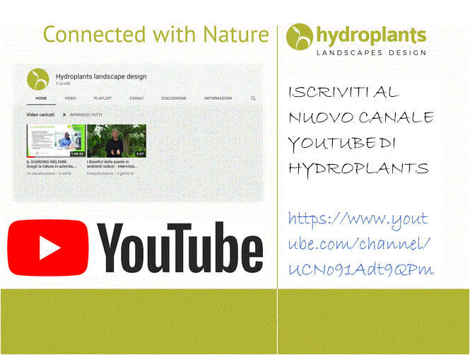 Scopri di più sull'articolo ISCRIVITI ORA AL NUOVO CANALE YouTube di HYDROPLANTS