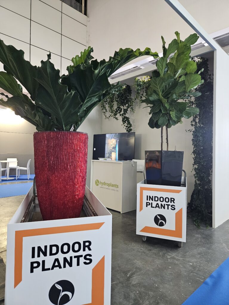 Hydroplants a Farete 2025