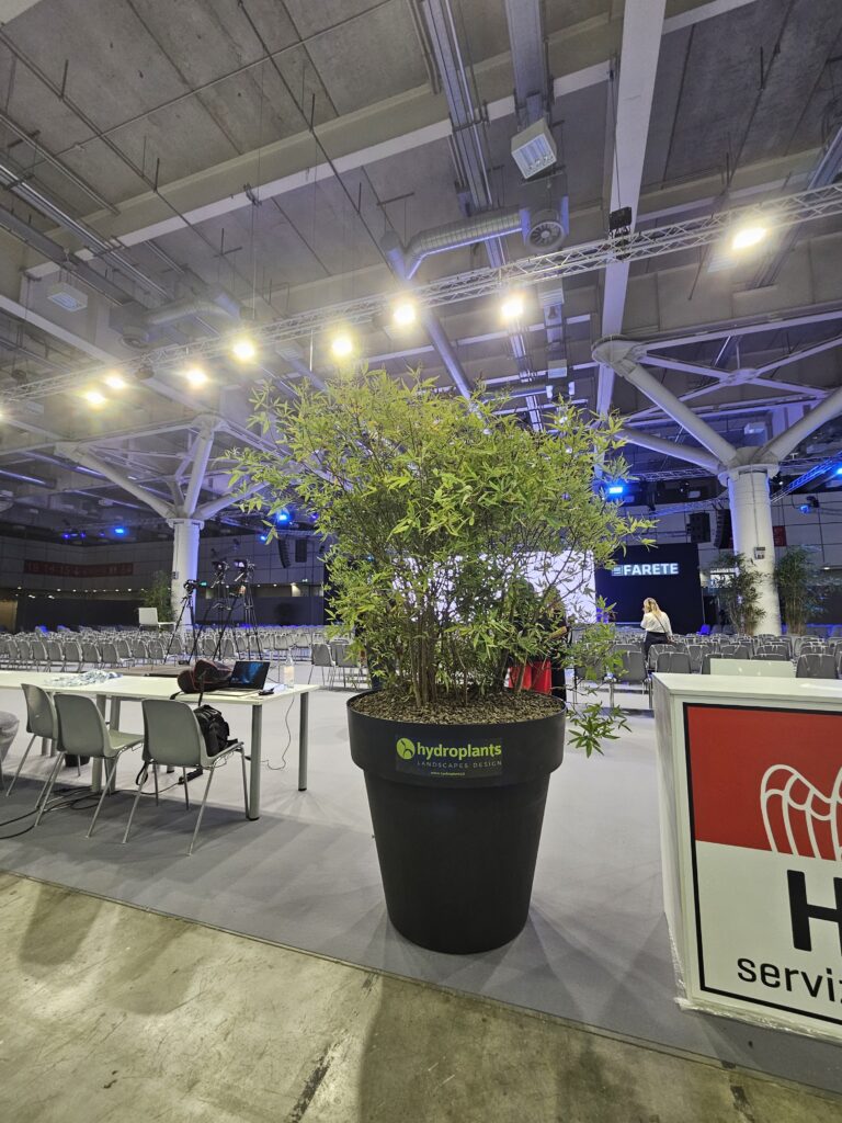 Verde Hydroplants a Farete 2025