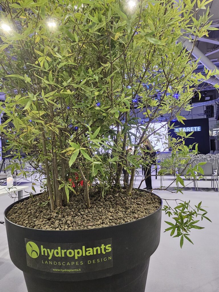 Verde Hydroplants a Farete 2025