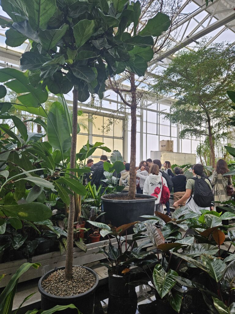 Serra con piante in idrocultura e ragazzi che osservano