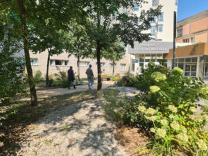 Giardino_COM_Policlinico20250811_161453