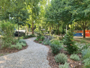 Giardino_COM_Policlinico20250811_161543