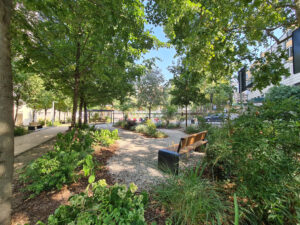 Giardino_COM_Policlinico20250811_161827