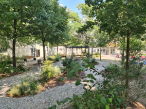 Giardino_COM_Policlinico20250811_161903