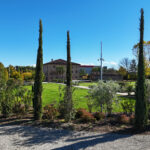 🌱 Prima. Durante. Dopo. La rinascita di un parco aziendale.