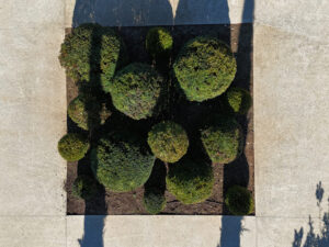 DJI_20251024144615_0809_D