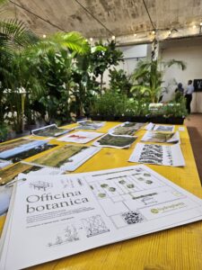Scopri di più sull'articolo 🌿 Officina Botanica: da spazio dismesso a luogo vivo