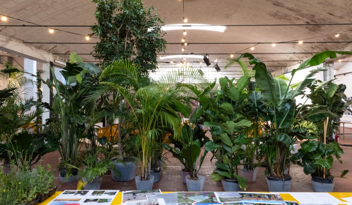 Capannone Officina Botanica - dopo