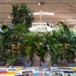 🌿 Officina Botanica: allestimento verde temporaneo per Alberi Festival