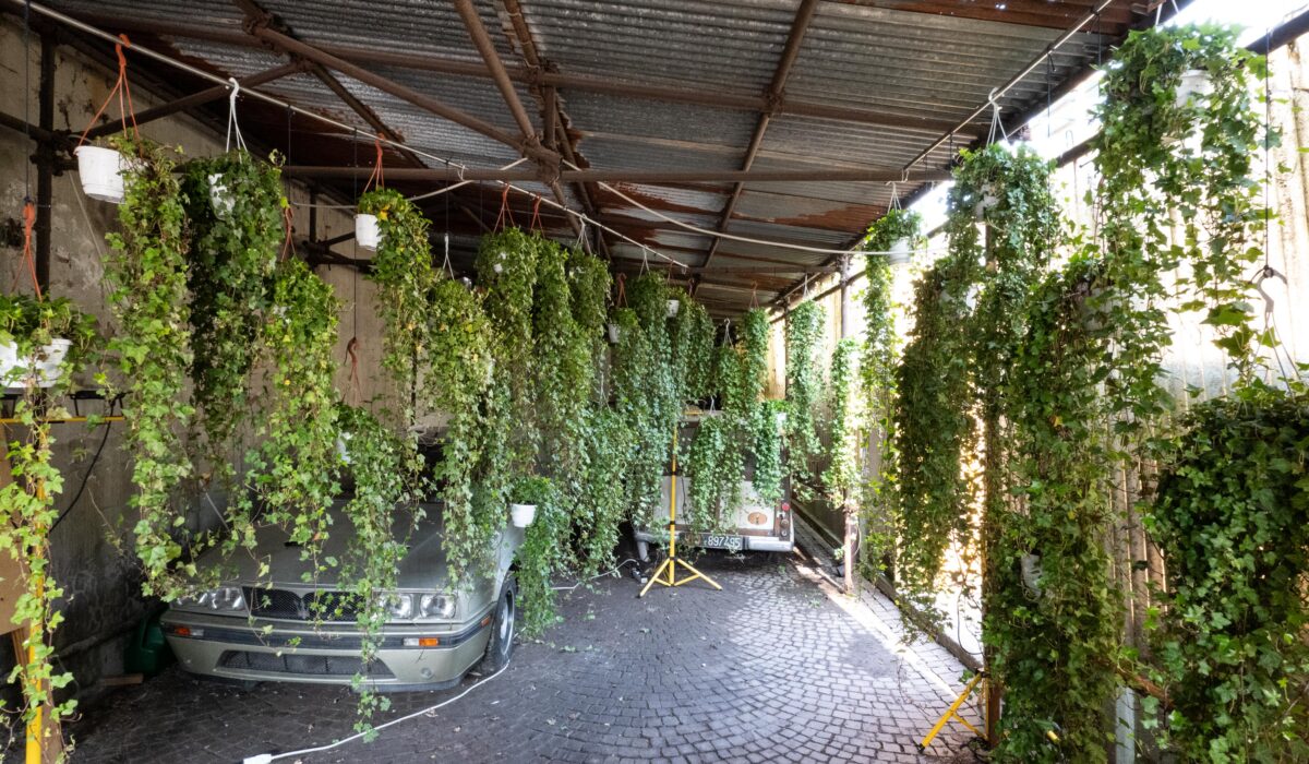 Ingresso_Officina_Botanica_dopo