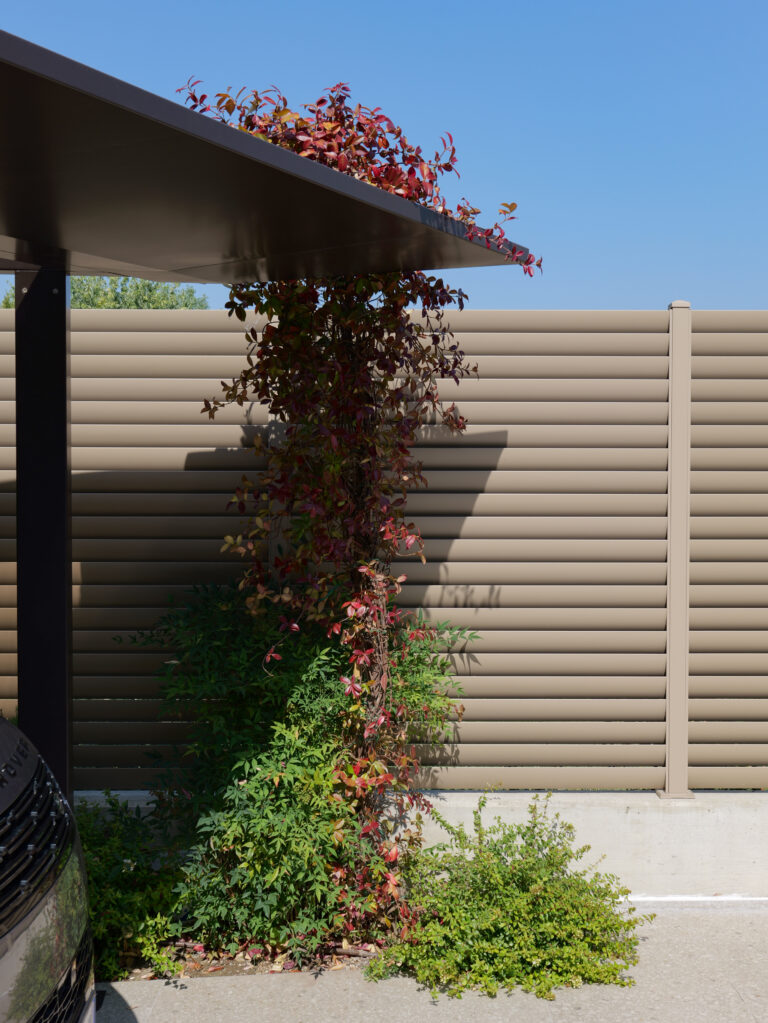 Rampicante carport