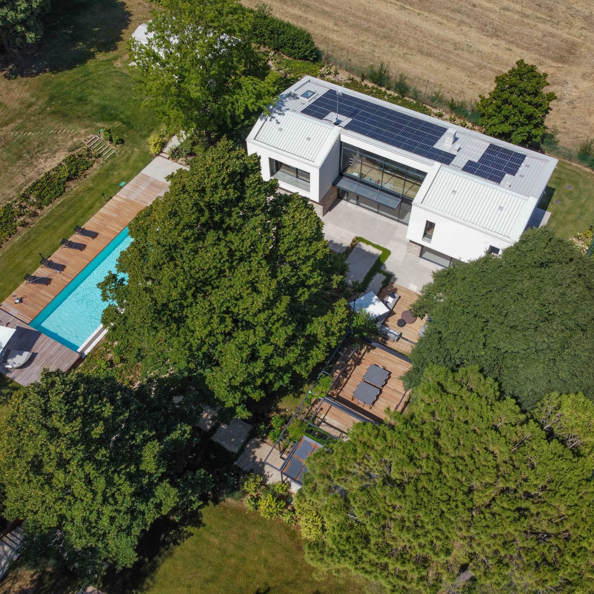 dji_fly_20240717_112144_796_1721223000817_photo_optimized